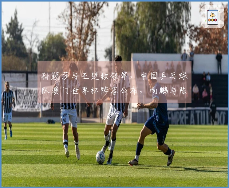 孙颖莎与王楚钦领军，中国乒乓球队澳门世界杯阵容公布，向鹏与陈垣在列。