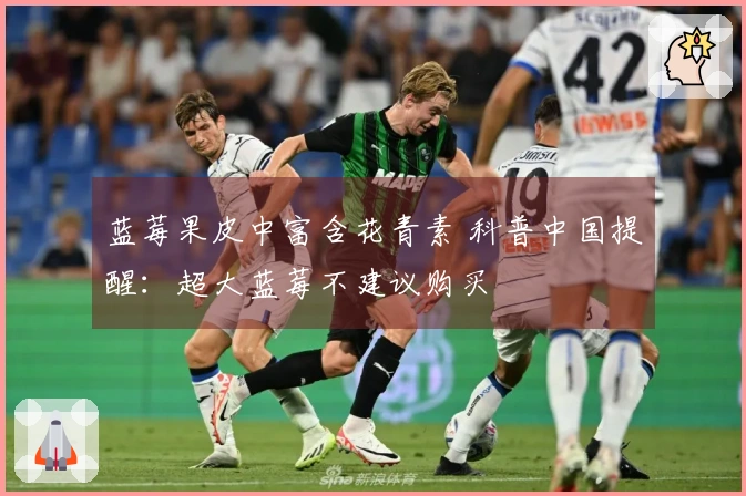 蓝莓果皮中富含花青素 科普中国提醒：超大蓝莓不建议购买